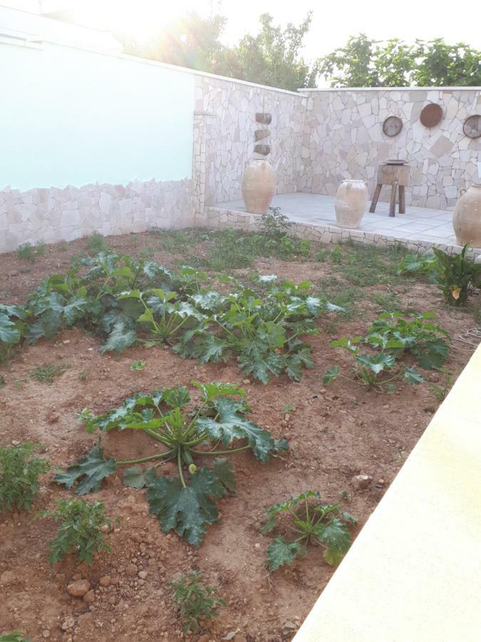 Oltremare Otel Vignacastrisi Dış mekan fotoğraf